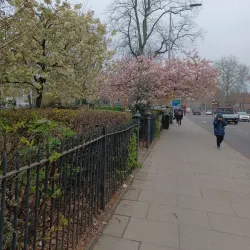 Tottenham Green Market - Tottenham