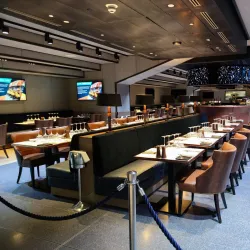 Tottenham Hotspur Stadium - Tottenham