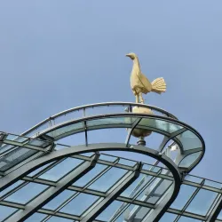 Tottenham Hotspur Stadium - Tottenham
