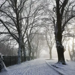 Parc Rhondda - Treherbert