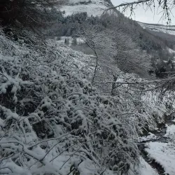 Parc Rhondda - Treherbert