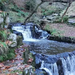 Rhondda Fach Valley Walks - Treherbert