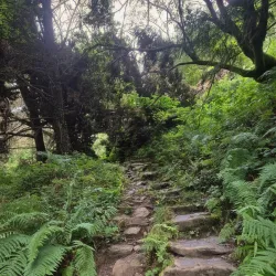 Rhondda Fach Valley Walks - Treherbert