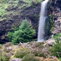 Rhondda Fach Valley Walks - Treherbert