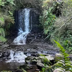Rhondda Fach Valley Walks - Treherbert