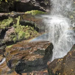 Rhondda Fach Valley Walks - Treherbert