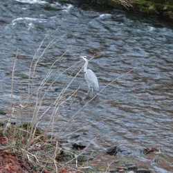 Treherbert Park - Treherbert