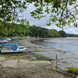 Boscawen Park - Truro