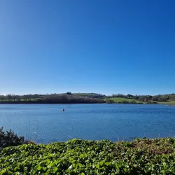 Boscawen Park - Truro