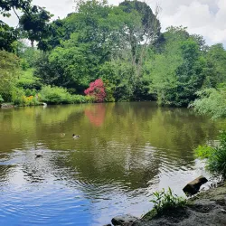 Boscawen Park - Truro