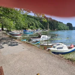 Boscawen Park - Truro