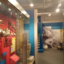 Royal Cornwall Museum - Truro