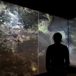 Truro City Museum - Truro