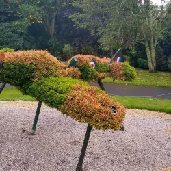 Victoria Gardens - Truro