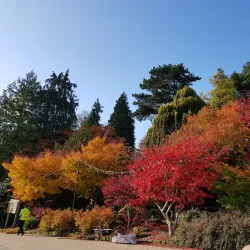 Calverley Grounds - Tunbridge Wells