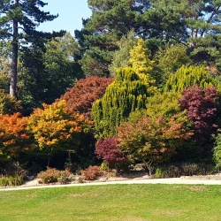 Calverley Grounds - Tunbridge Wells