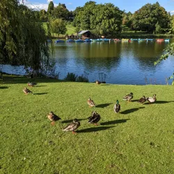 Dunorlan Park - Tunbridge Wells