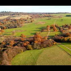 Eridge Park - Tunbridge Wells