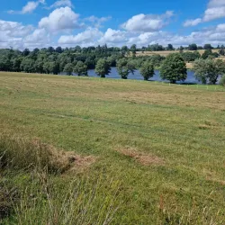 Eridge Park - Tunbridge Wells