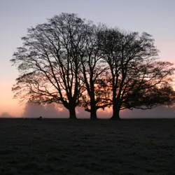 Eridge Park - Tunbridge Wells