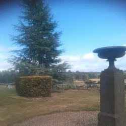 Eridge Park - Tunbridge Wells