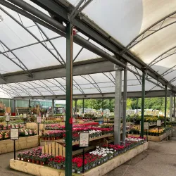 Gibson's Garden - Tunbridge Wells