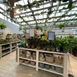 Gibson's Garden - Tunbridge Wells