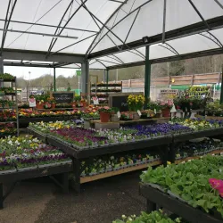 Gibson's Garden - Tunbridge Wells