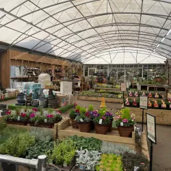 Gibson's Garden - Tunbridge Wells