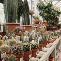 Gibson's Garden - Tunbridge Wells