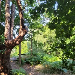 The Pantiles - Tunbridge Wells