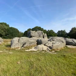Tunbridge Wells Common - Tunbridge Wells