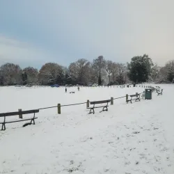 Tunbridge Wells Common - Tunbridge Wells