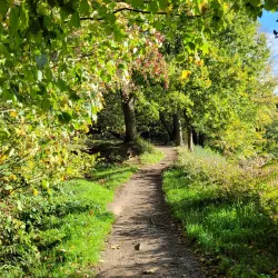 Tunbridge Wells Common - Tunbridge Wells