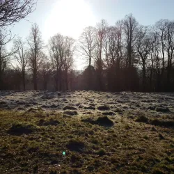 Tunbridge Wells Common - Tunbridge Wells