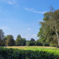 Tunbridge Wells Common - Tunbridge Wells