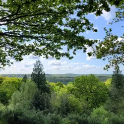 Tunbridge Wells Common - Tunbridge Wells