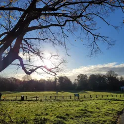 Tunbridge Wells Common - Tunbridge Wells