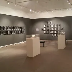 Tunbridge Wells Museum and Art Gallery - Tunbridge Wells