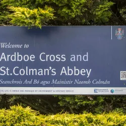 Ardboe High Cross - Tyrone