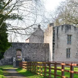 Benburb Castle - Tyrone