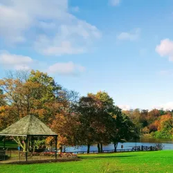 Dungannon Park - Tyrone