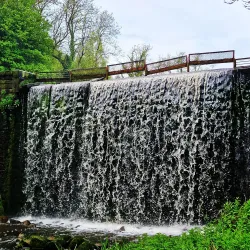 Dungannon Park - Tyrone