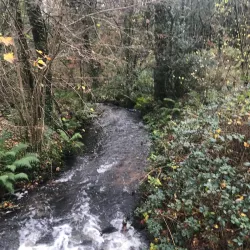 Dungannon Park - Tyrone