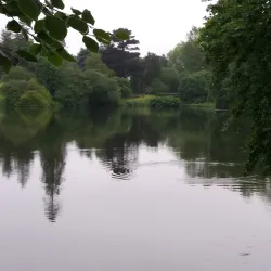 Dungannon Park - Tyrone