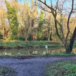 Giant's Ring - Tyrone