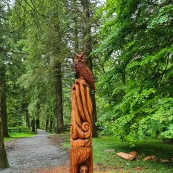 Gortin Glen Forest Park - Tyrone