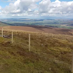Gortin Glen Forest Park - Tyrone