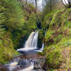 Gortin Glen Forest Park - Tyrone