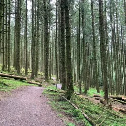 Gortin Glen Forest Park - Tyrone